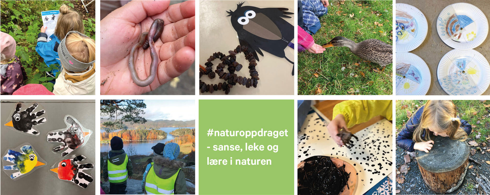 Diverse collage av bilder fra Naturoppdraget 2022